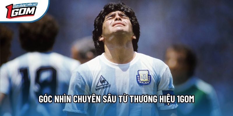 Góc nhìn chuyên sâu từ thương hiệu 1gom Góc nhìn chuyên sâu từ thương hiệu 1gom