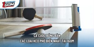 Cá Cược Bóng Bàn - Các Loại Kèo Phổ Biến Nhất Tại 1gom
