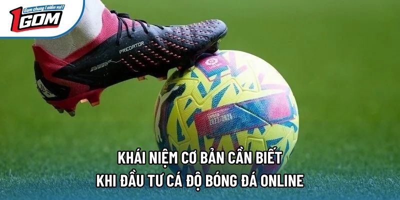 Khái niệm cơ bản cần biết khi đầu tư cá độ bóng đá online Khái niệm cơ bản cần biết khi đầu tư cá độ bóng đá online