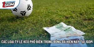 Các Loại Tỷ Lệ Kèo Phổ Biến Trong Bóng Đá Hiện Nay Tại 1Gom