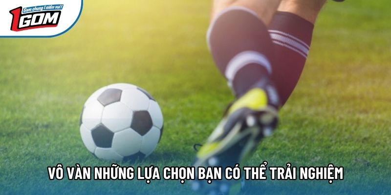 Vô vàn những lựa chọn bạn có thể trải nghiệm Vô vàn những lựa chọn bạn có thể trải nghiệm