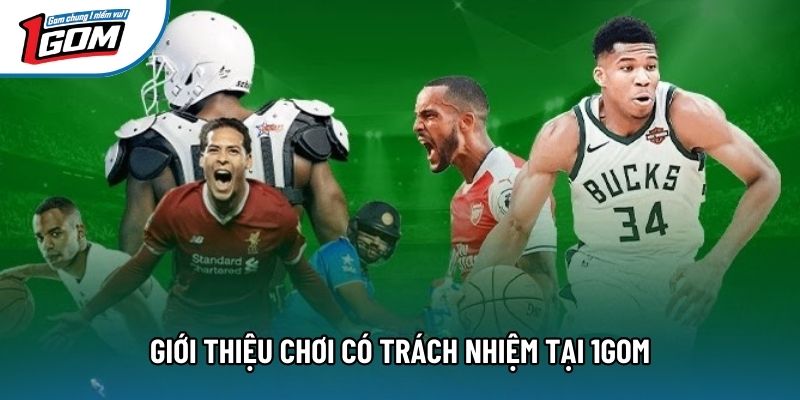 Giới thiệu chơi trách nhiệm tại 1gom Giới thiệu chơi trách nhiệm tại 1gom