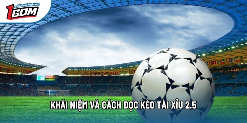 Khái niệm và cách đọc kèo tài xỉu 2.5 Khái niệm và cách đọc kèo tài xỉu 2.5