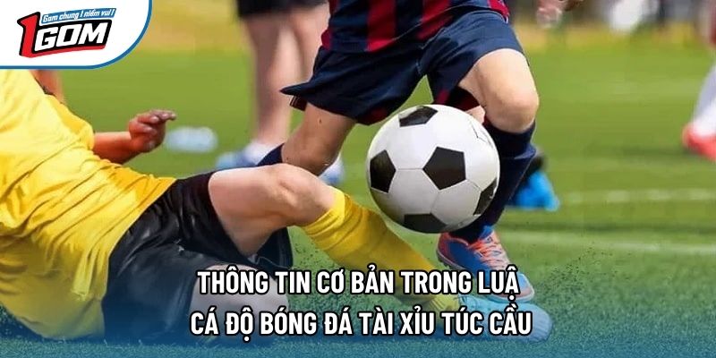 Thông tin cơ bản trong luật cá độ bóng đá tài xỉu túc cầu Thông tin cơ bản trong luật cá độ bóng đá tài xỉu túc cầu
