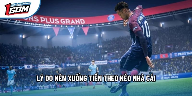 Lý do nên xuống tiền theo kèo nhà cái Lý do nên xuống tiền theo kèo nhà cái