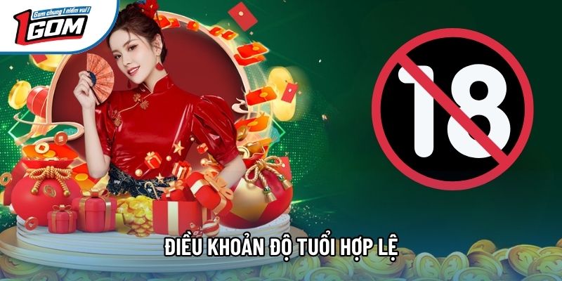 Điều khoản độ tuổi hợp lệ Điều khoản độ tuổi hợp lệ