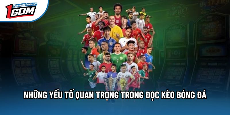Những yếu tố quan trọng trong đọc kèo bóng đá Những yếu tố quan trọng trong đọc kèo bóng đá