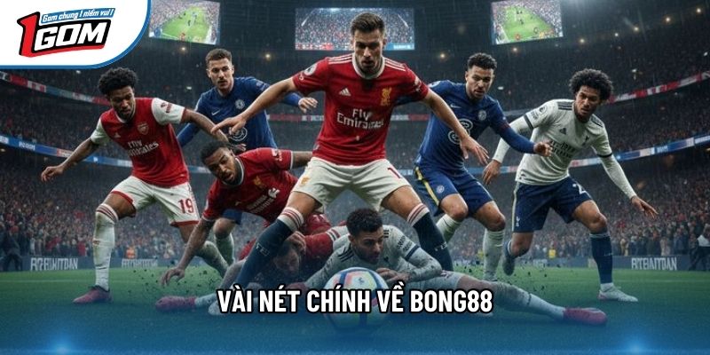Vài nét chính về bong88 Vài nét chính về bong88